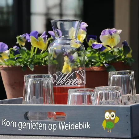 Vrijstaand Weideblik Hébergement de vacances