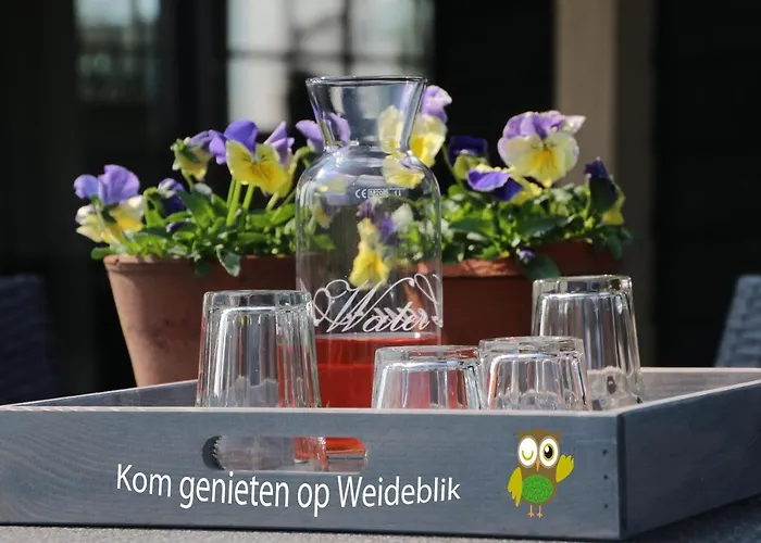 Vrijstaand Weideblik Tatil Evi